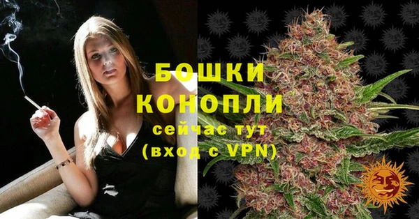 шишки Нефтегорск