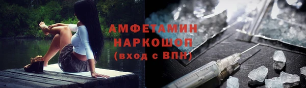 МДПВ Нея