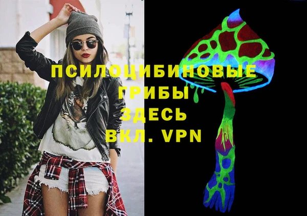 МДПВ Нея