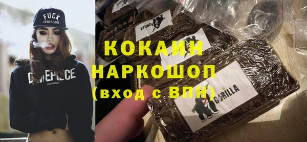 МДПВ Нея