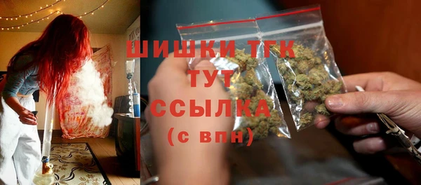 МДПВ Нея