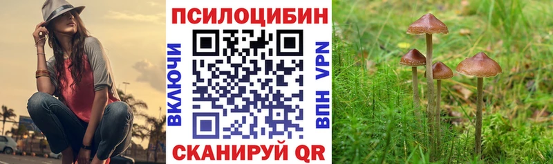 MEGA маркетплейс  купить наркоту  Сертолово  Галлюциногенные грибы Psilocybine cubensis 
